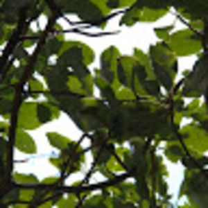 Meet your Posher, Russell